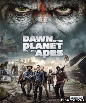 смотреть онлайн в качестве